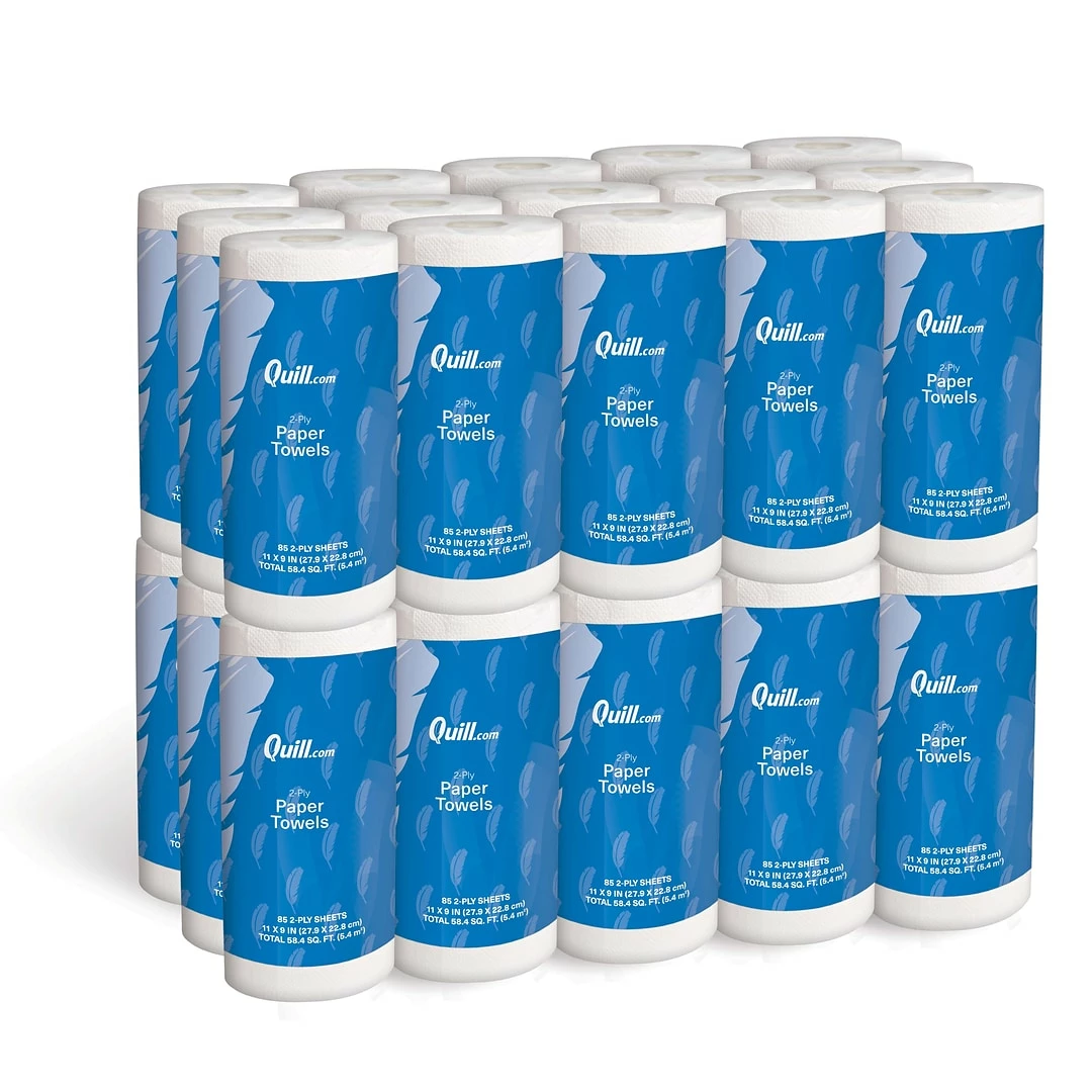 Evolution Paper Towels, 2-ply, 250 Sheets/Roll, 12 Rolls/Pack (PRO00495) - Image 2