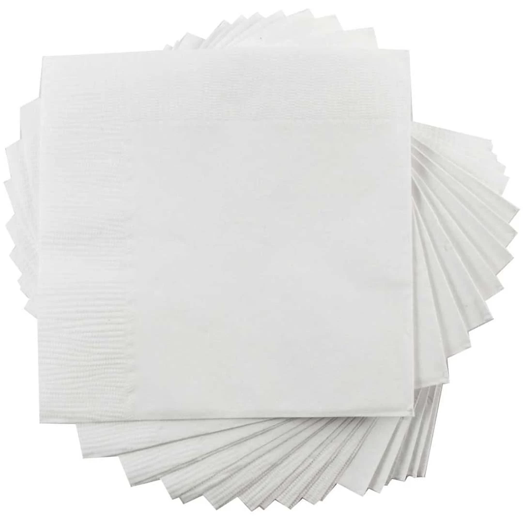 JAM Paper Medium Lunch Napkins, 2-Ply, White, 40 Napkins/Pack (6255620732)