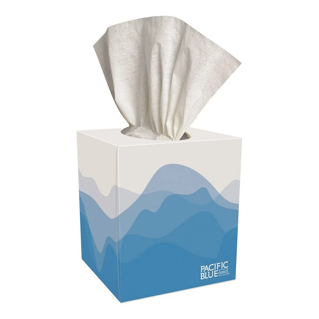 Pacific Blue Select Facial Tissue, 2-ply, 100 Tissues/Box, 36 Boxes/Pack (46200) - Image 2