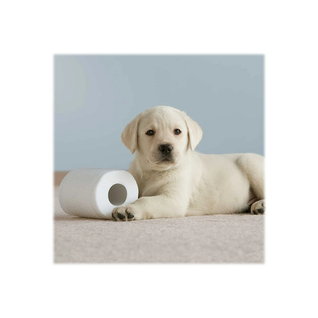 Cottonelle CleanCare 1-Ply Standard Toilet Paper, White, 150 Sheets/Roll, 48 Rolls/Pack (12456) - Image 6