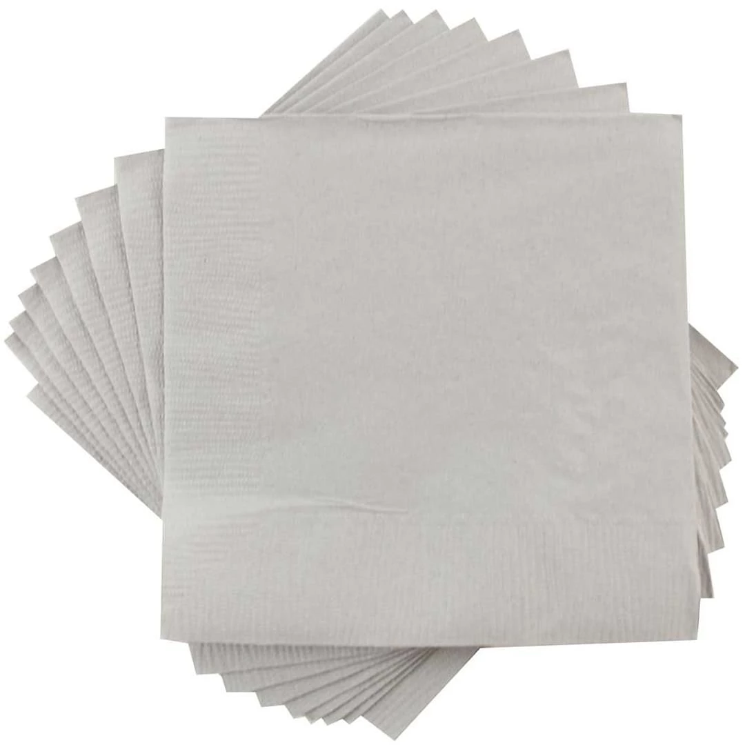 JAM Paper Lunch Napkin, 2-ply, Silver, 40 Napkins/Pack (255628827)