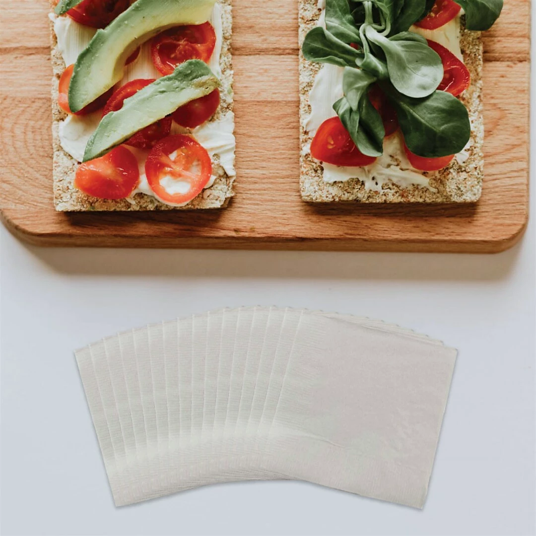 JAM Paper Lunch Napkin, 2-ply, Silver, 40 Napkins/Pack (255628827) - Image 2